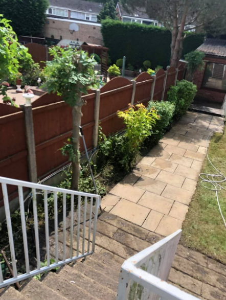 Newly cleared and planted garden path running beside fencing