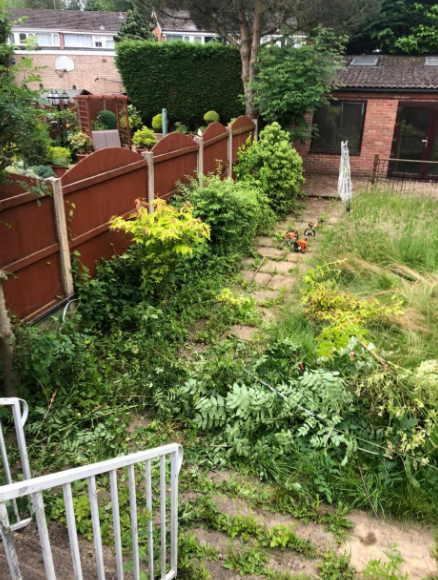 Before Barker's Lawn Care work